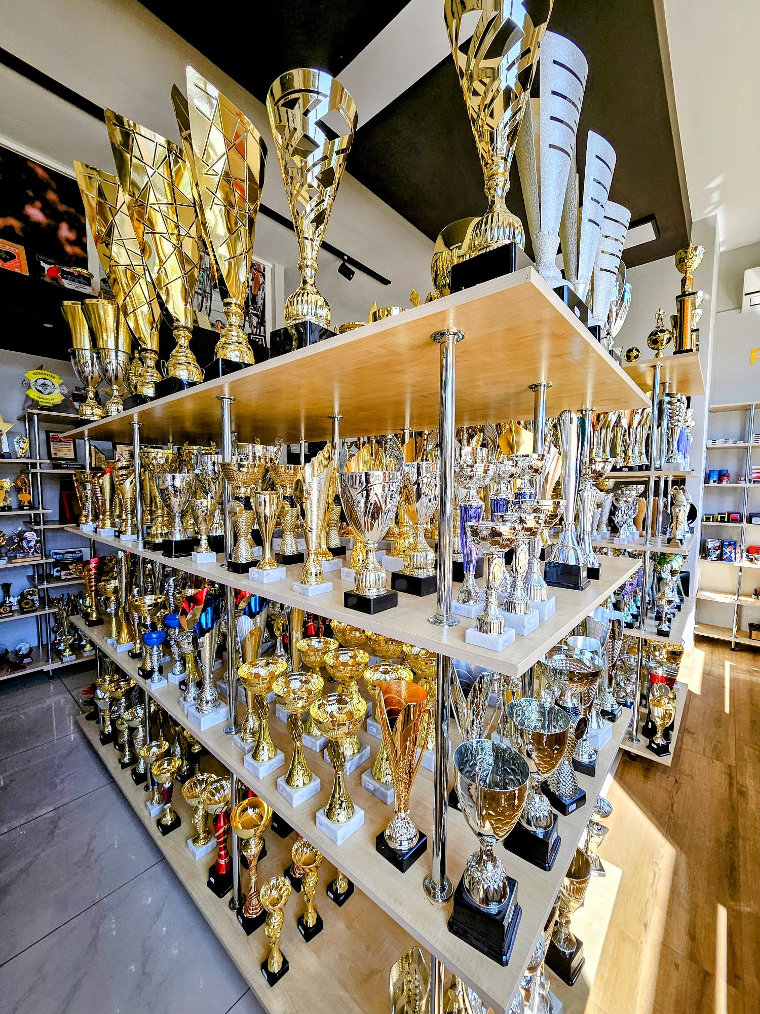 Puchary sportowe AMS